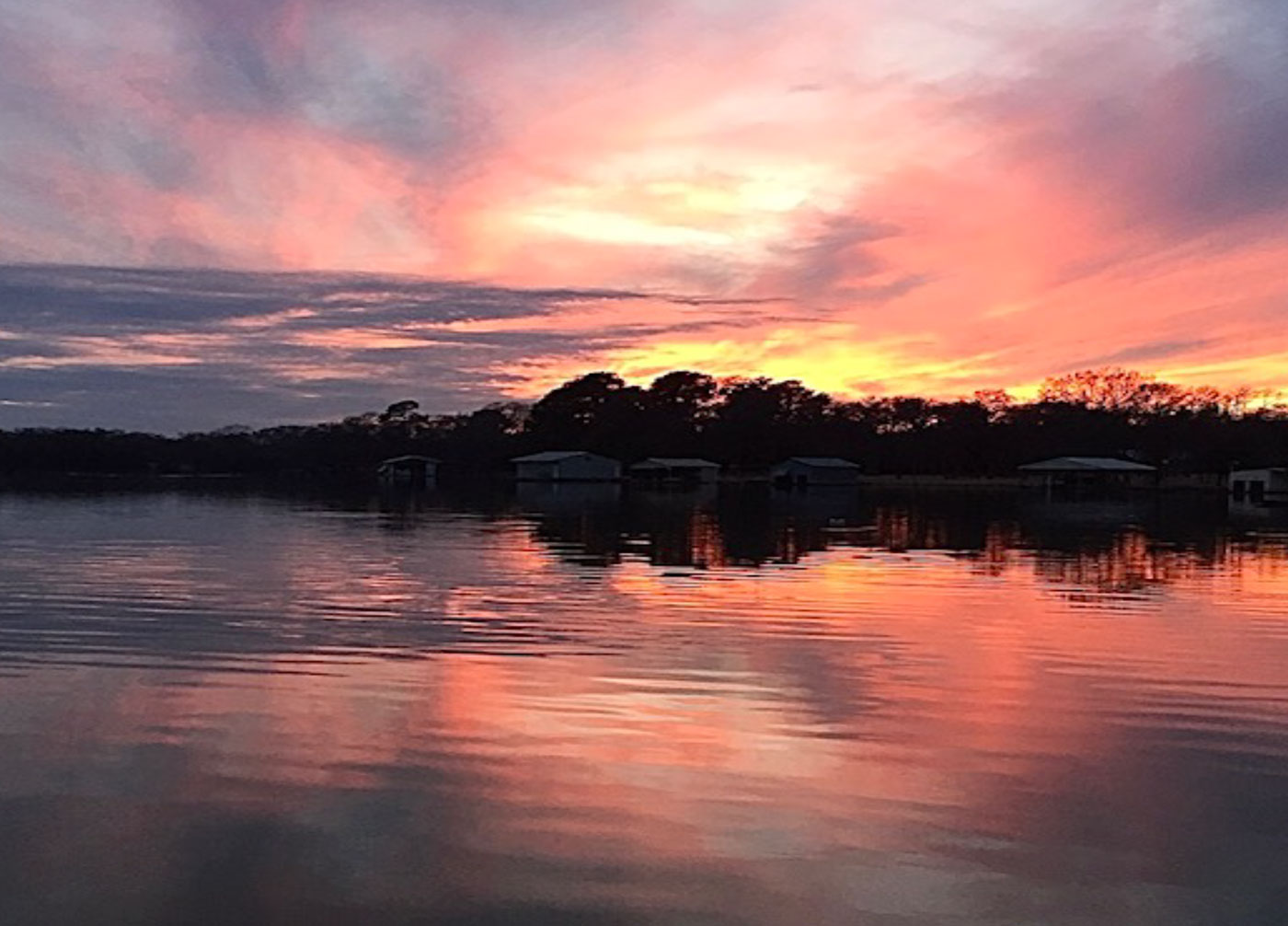 Camp Creek Newsletter: Fall 2020 Edition